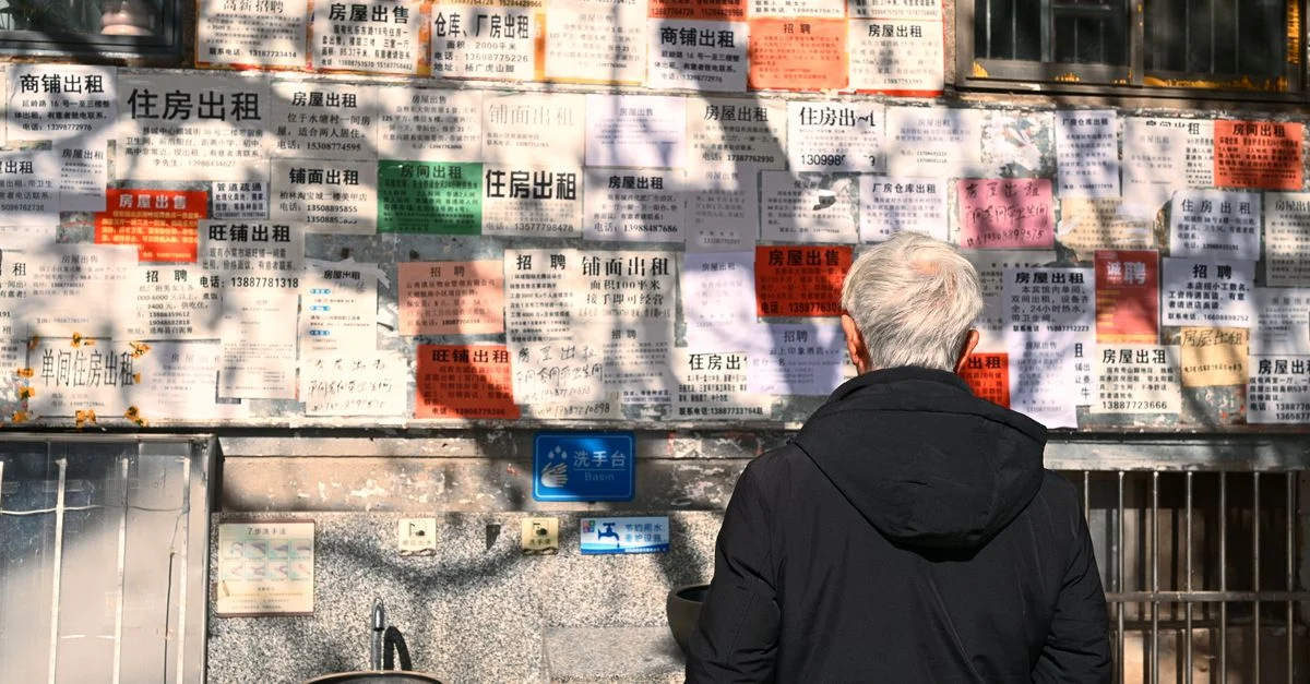 Un homme âgé étudie des annonces de location affichées sur un mur baigné de soleil, illustrant la vie urbaine.