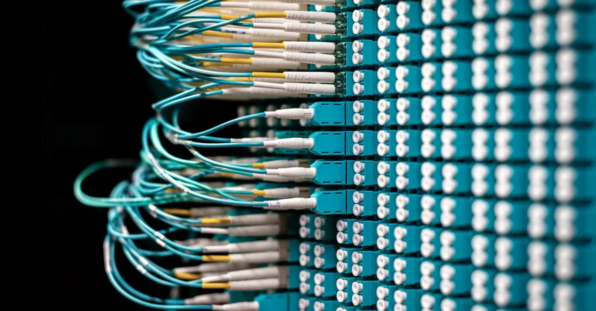 Gros plan sur des câbles à fibre optique soigneusement organisés dans un panneau de brassage de centre de données.